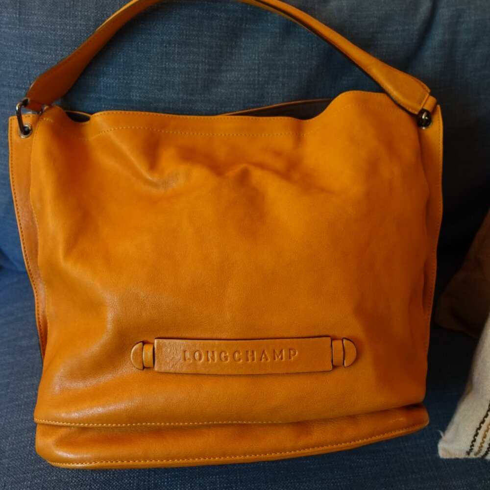 Longchamp 3D Hobo Bag in Saffron Leather
